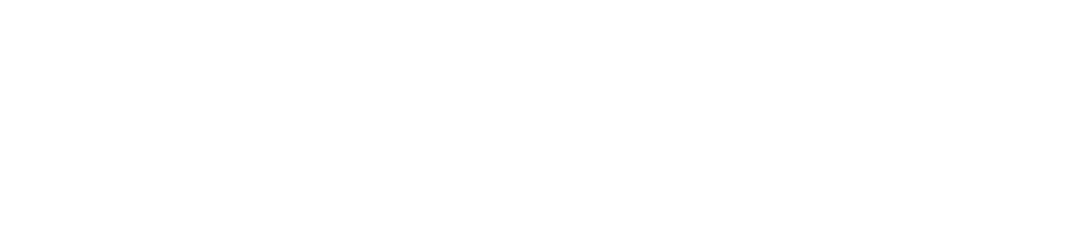 삶의질 특별시 서울